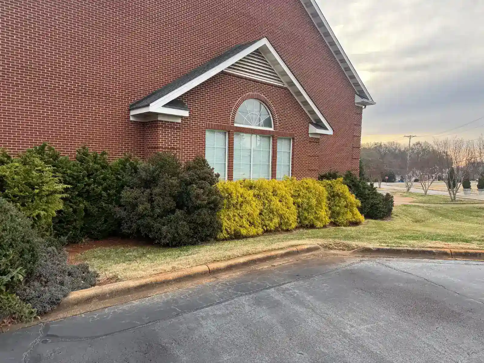 Overgrown shrubs beside a brick commercial building before trimming