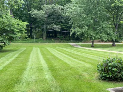 Fresh lawn stripes bordered by trees
