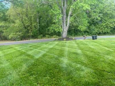 Checkerboard lawn stripes beside a road